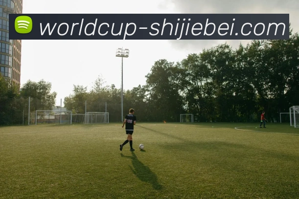 世界杯中国品牌故事