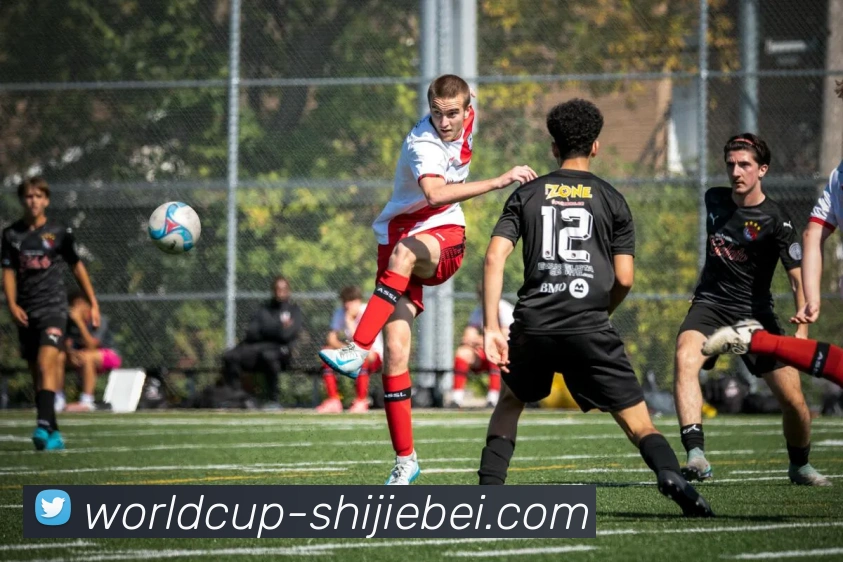 世界杯中国服务体系